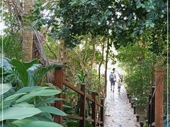 -东寨港红树林旅游区