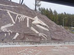 -哈尔滨北方森林动物园