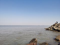 -上海滨江森林公园