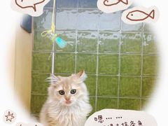 -首开·龙湖成都西宸天街