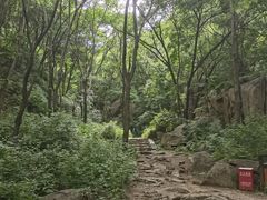 -大岭沟猕猴桃谷风景区