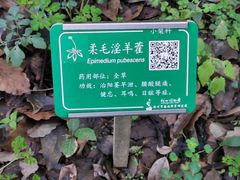 -杭州植物园