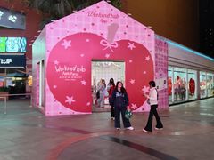 -VT101维多利广场