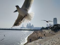 -栈桥景区