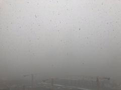 -便利蜂(合生汇店)