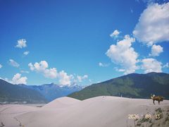 -佛掌沙丘