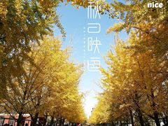 -辽宁大学(崇山校区)