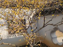-无锡梅园公园