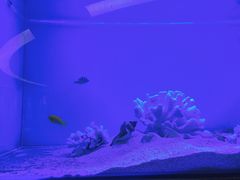 -登瀛楼(鼓楼店)