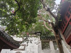 -东山雕花楼