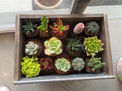 -喜茶(珠海华发商都店)