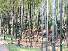 -黄公望隐居地