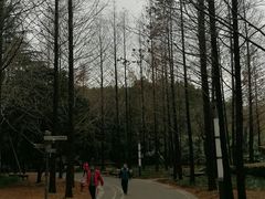 -苏州河梦清园环保主题公园