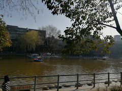 -莲湖公园