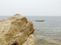 -起士林西餐厅(东经路店)
