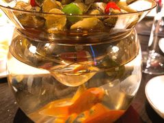 -甄御•海鲜新青岛菜(麦岛店)