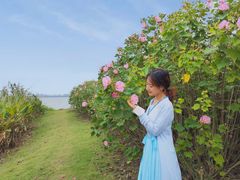 -祝甸砖窑文化馆