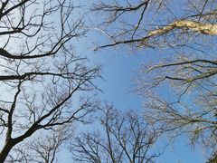 -上海佘山国家森林公园天马山园