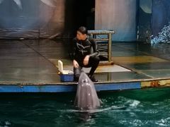 -苏州海洋馆