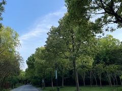 -吴淞炮台湾湿地森林公园烧烤区