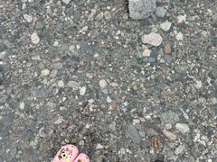 -虹口漂流