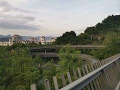-福道