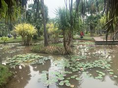 -中国科学院西双版纳热带植物园