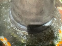 -老北京涮肉(经一路店)