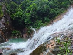 -广州白江湖森林公园