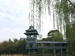 -金鸡湖桃花岛