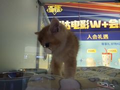 -万达广场(太原街店)