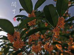 -钟山体育运动公园