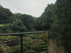 -白马涧龙池景区