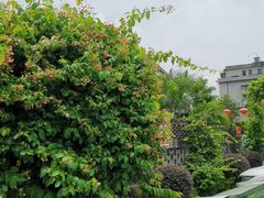 -顺德了能馆(虎门店)