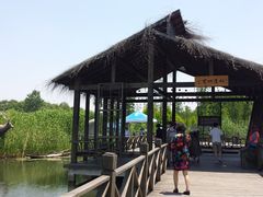 -溱湖国家湿地公园