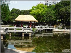 -江湾体育中心游泳馆
