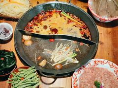 -楠火锅(哈尔滨金爵万象店)