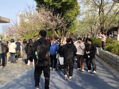 -西北湖绿化广场