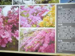 景点-铁路文化公园