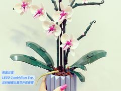 -乐高专卖店(温州万象城店)