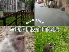 -东莞香市动物园