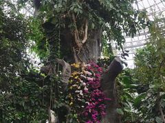 -郑州植物园