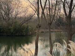 -溱湖国家湿地公园