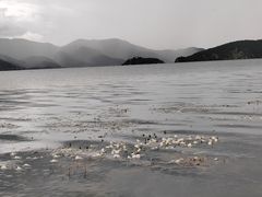 -丽江泸沽湖景区