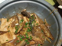 -鹭岛新泉客家菜·海鲜·融合菜(莲前店)