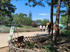 -北京西山国家森林公园