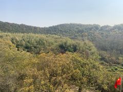 -南京市无想山景区