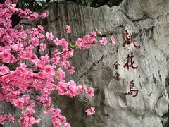 -金鸡湖桃花岛