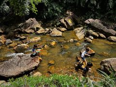 -广州白江湖森林公园