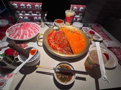 -小龙坎火锅(全球旗舰店)